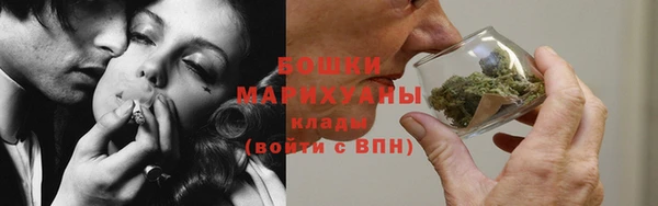 гидра Липки