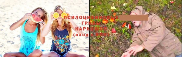 гидра Липки