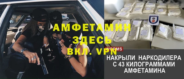 гидра Липки