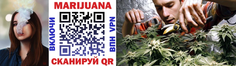 Бошки марихуана Bruce Banner  это телеграм  Фокино 